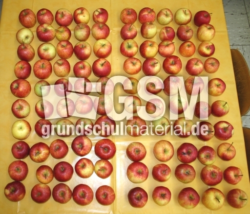 100-Äpfel.jpg
